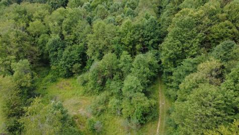 0 Kanes Creek Road Reedsville WV 26547