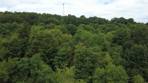 TBD Kanes Creek Road Reedsville WV 26547