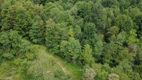 TBD Kanes Creek Road Reedsville WV 26547