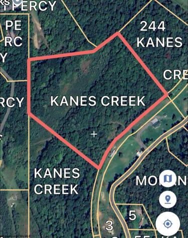 0 Kanes Creek Road Reedsville WV 26547