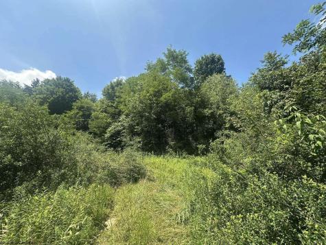 0 Kanes Creek Road Reedsville WV 26547