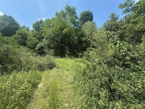 0 Kanes Creek Road Reedsville WV 26547