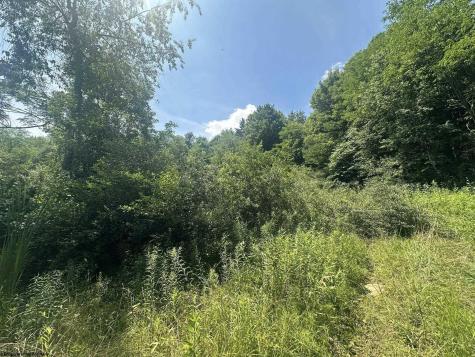 0 Kanes Creek Road Reedsville WV 26547