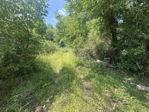 0 Kanes Creek Road Reedsville WV 26547