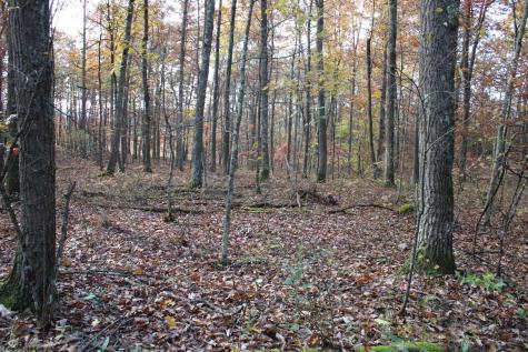 7 Cascade Ridge Masontown WV 26542
