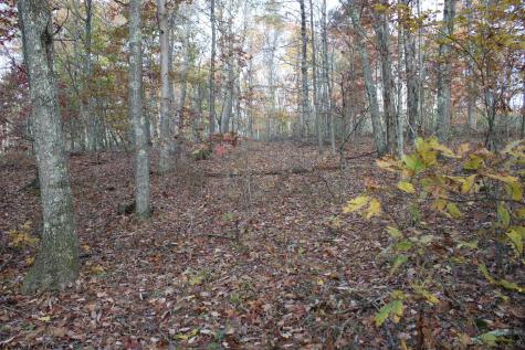 7 Cascade Ridge Masontown WV 26542