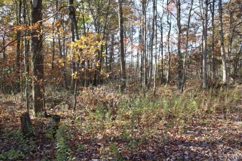 7 Cascade Ridge Masontown WV 26542