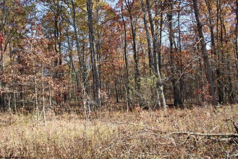 7 Cascade Ridge Masontown WV 26542