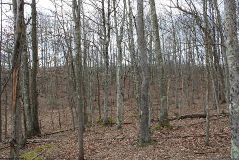 7 Cascade Ridge Masontown WV 26542