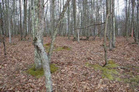 7 Cascade Ridge Masontown WV 26542