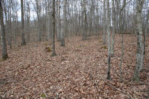 7 Cascade Ridge Masontown WV 26542