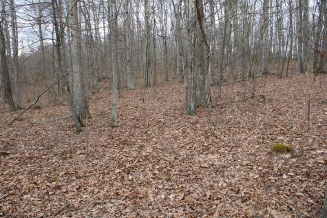 7 Cascade Ridge Masontown WV 26542
