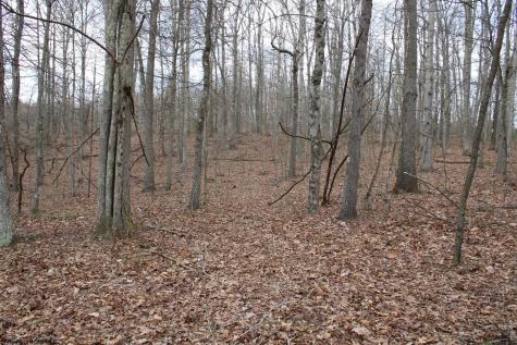 7 Cascade Ridge Masontown WV 26542
