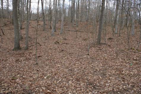 7 Cascade Ridge Masontown WV 26542