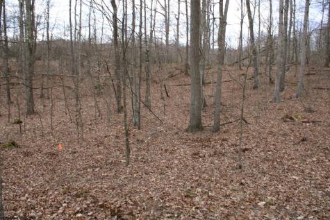 7 Cascade Ridge Masontown WV 26542