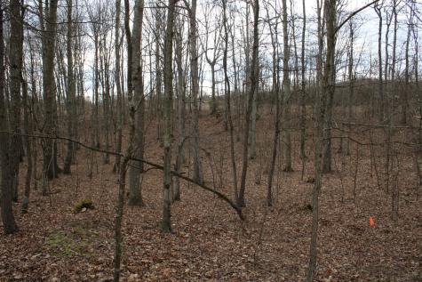 7 Cascade Ridge Masontown WV 26542