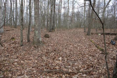 7 Cascade Ridge Masontown WV 26542