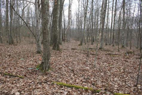 7 Cascade Ridge Masontown WV 26542