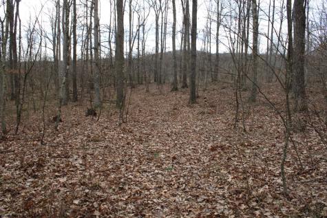 7 Cascade Ridge Masontown WV 26542