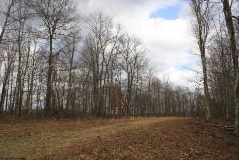 7 Cascade Ridge Masontown WV 26542