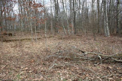 7 Cascade Ridge Masontown WV 26542