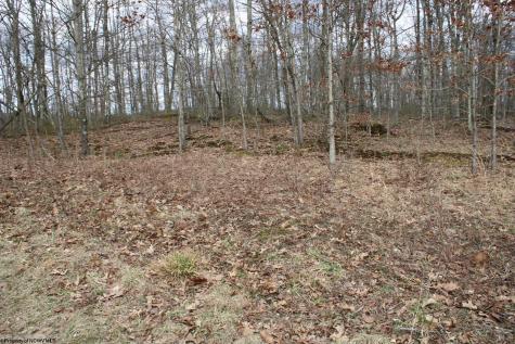 7 Cascade Ridge Masontown WV 26542