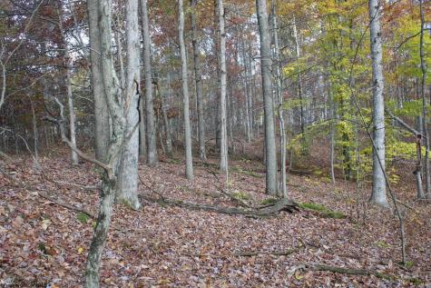 7 Cascade Ridge Masontown WV 26542