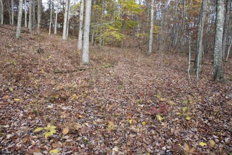 7 Cascade Ridge Masontown WV 26542