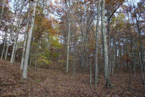 7 Cascade Ridge Masontown WV 26542