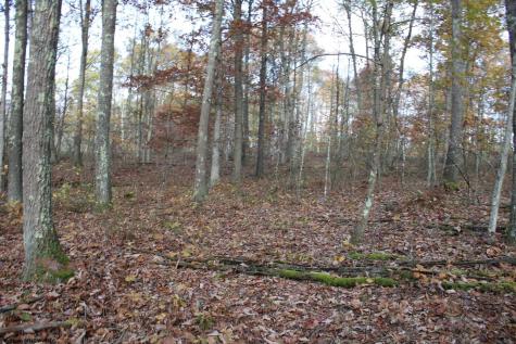 7 Cascade Ridge Masontown WV 26542