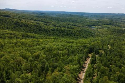 1 Laurel Mountain Road Belington WV 26250