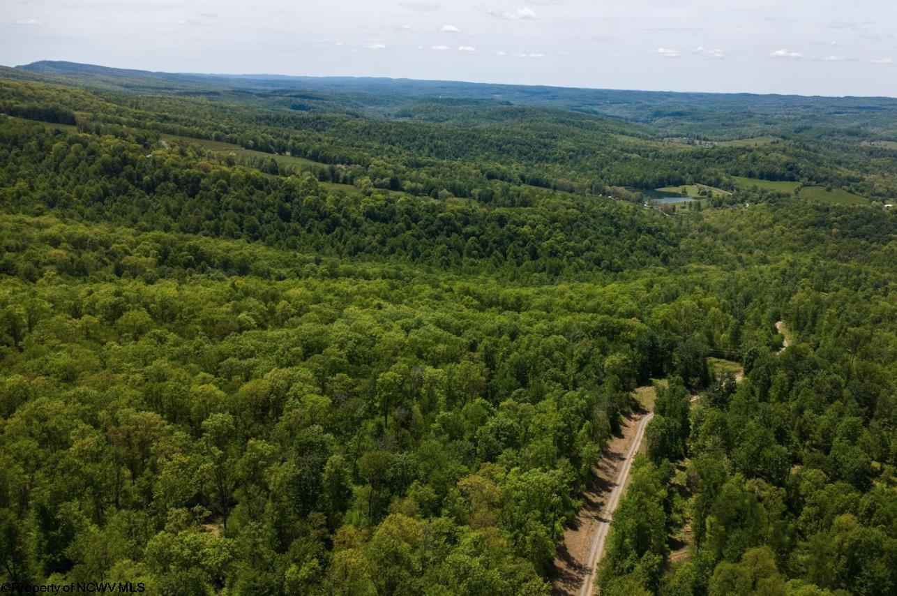 1 Laurel Mountain Road Belington WV 26250