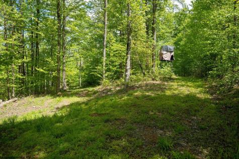 1 Laurel Mountain Road Belington WV 26250