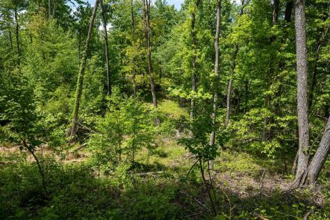 1 Laurel Mountain Road Belington WV 26250