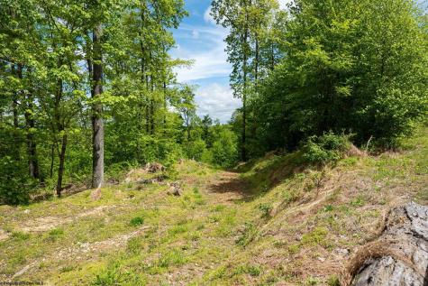 1 Laurel Mountain Road Belington WV 26250
