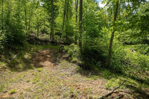 1 Laurel Mountain Road Belington WV 26250
