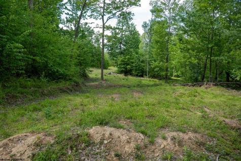 1 Laurel Mountain Road Belington WV 26250