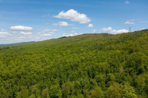 1 Laurel Mountain Road Belington WV 26250