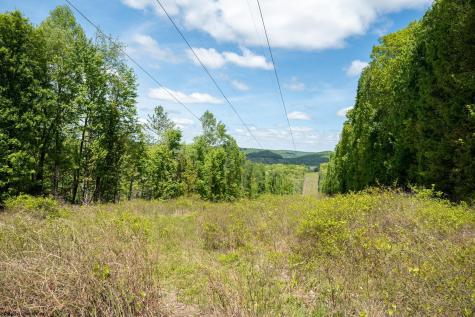 1 Laurel Mountain Road Belington WV 26250