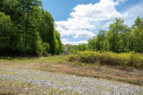1 Laurel Mountain Road Belington WV 26250