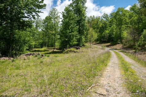 1 Laurel Mountain Road Belington WV 26250