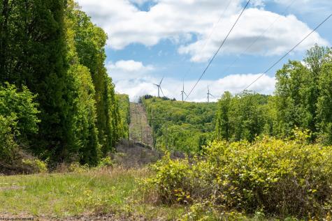 1 Laurel Mountain Road Belington WV 26250