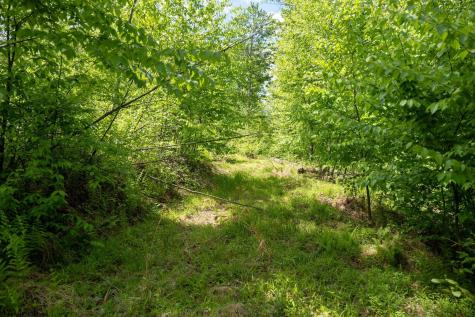 1 Laurel Mountain Road Belington WV 26250