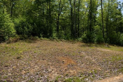 1 Laurel Mountain Road Belington WV 26250