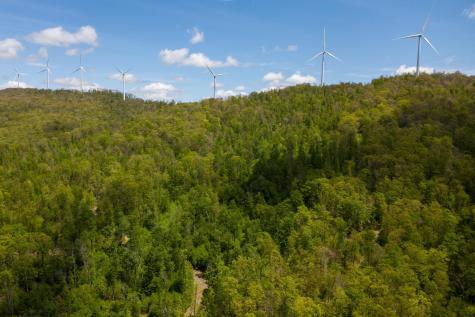 1 Laurel Mountain Road Belington WV 26250