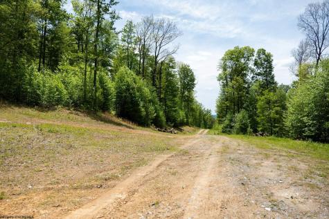 1 Laurel Mountain Road Belington WV 26250