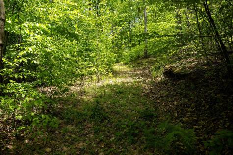 1 Laurel Mountain Road Belington WV 26250