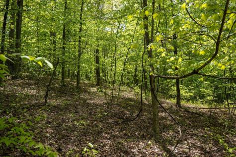 1 Laurel Mountain Road Belington WV 26250