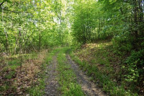 1 Laurel Mountain Road Belington WV 26250