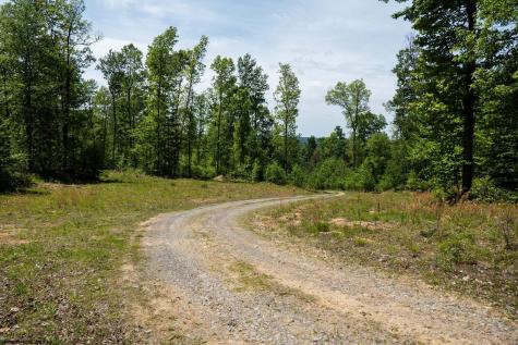 1 Laurel Mountain Road Belington WV 26250